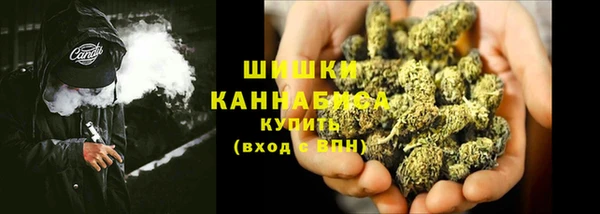 соль ск Богданович