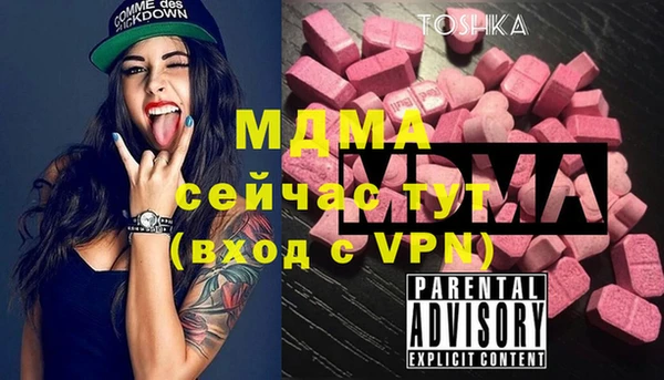 гидра Богородск