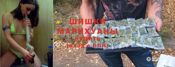 гидра Богородск