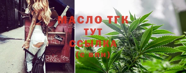 соль ск Богданович