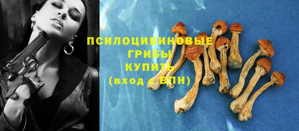 соль ск Богданович