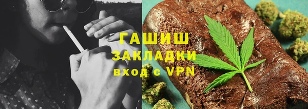 гидра Богородск