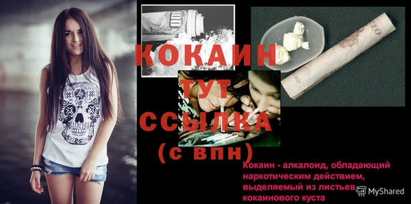 соль ск Богданович