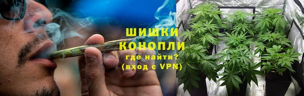соль ск Богданович