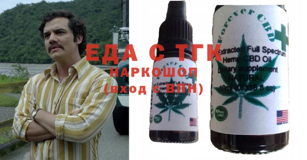 гидра Богородск