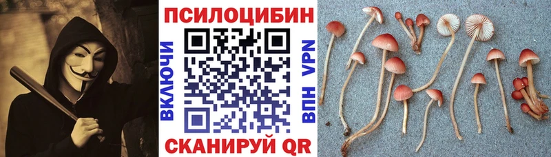 Галлюциногенные грибы ЛСД Невельск